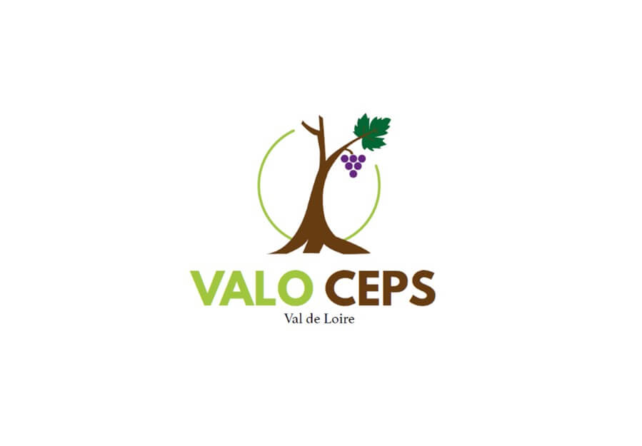 Valoceps : vignerons, participez à l&rsquo;enquête - Muscadet