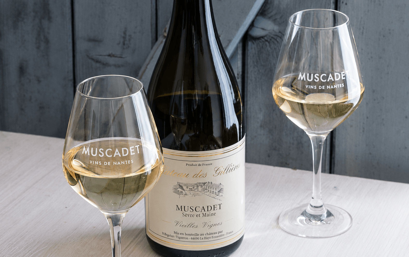 Précisions sur la notion « Vieilles Vignes » - Muscadet