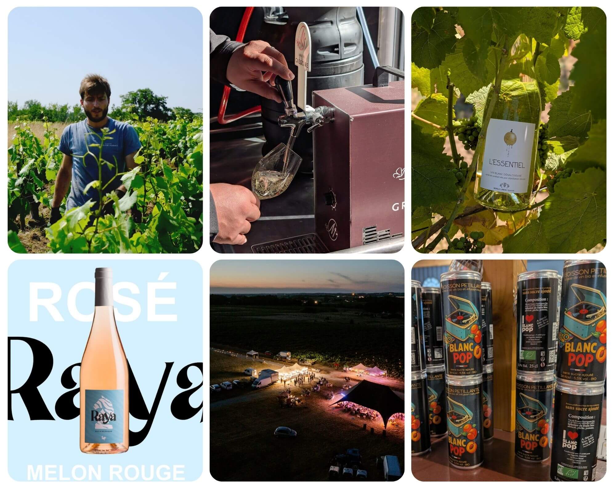Marketing : Comment le vignoble nantais réenchante la demande ? - Muscadet