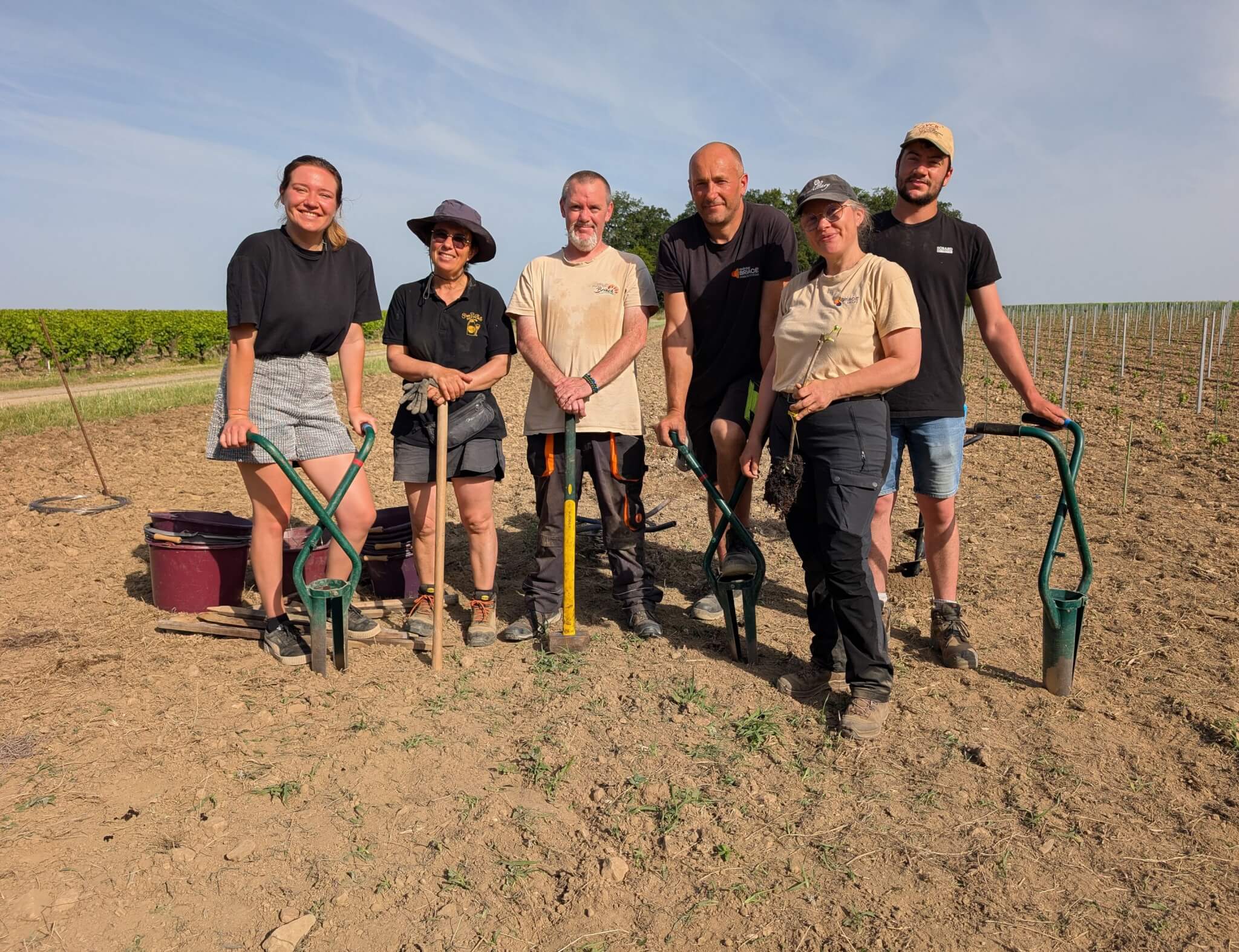 Planter aujourd’hui les cépages de demain - Muscadet
