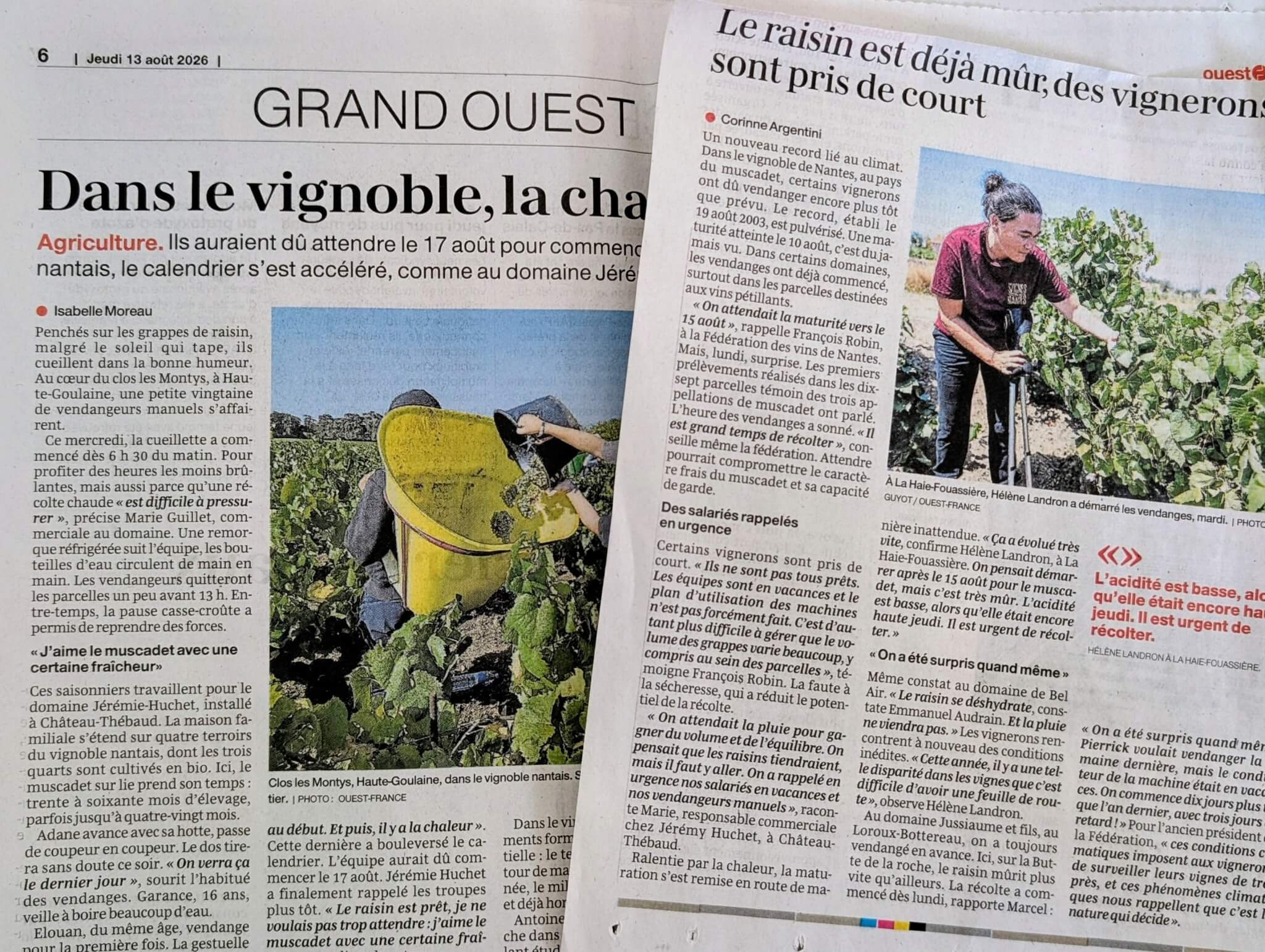 Revue de presse – Troisième trimestre 2026 - Muscadet