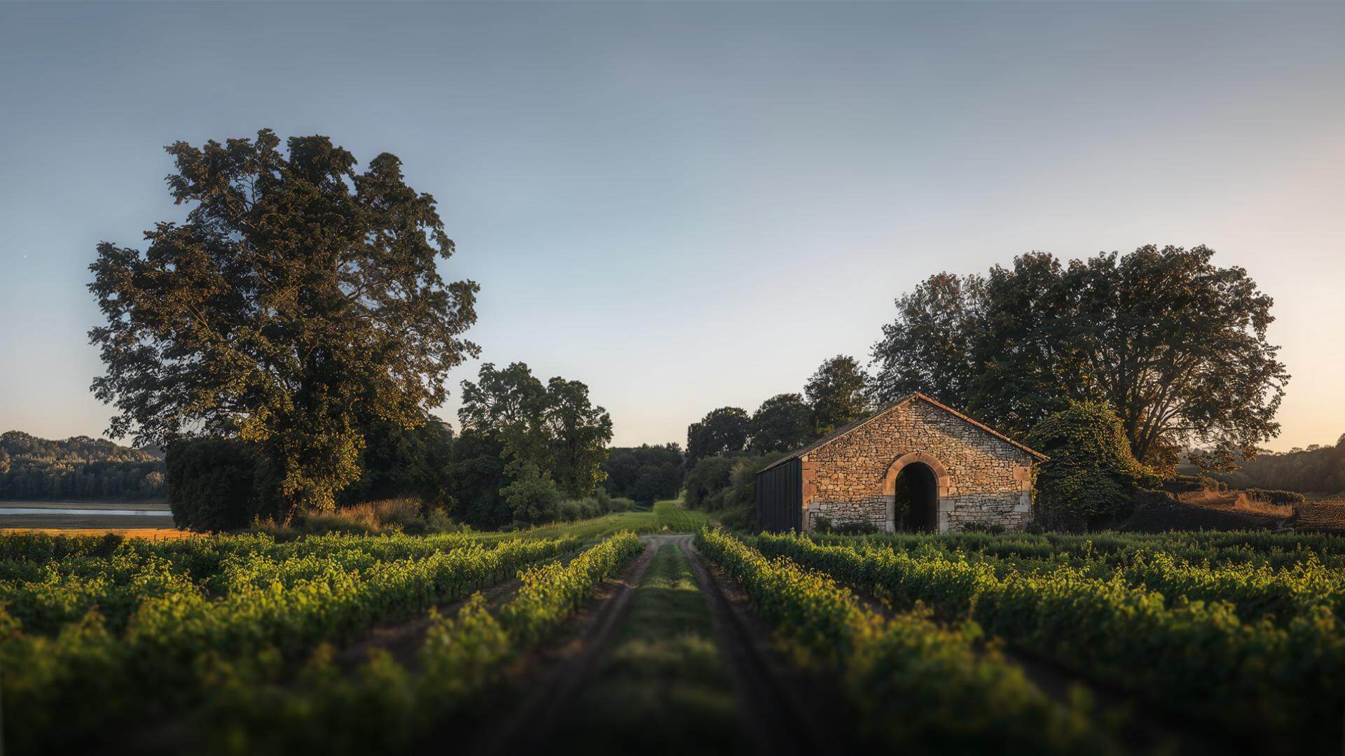 Deuxième édition du « Grand Direct » de la CNAOC - Muscadet