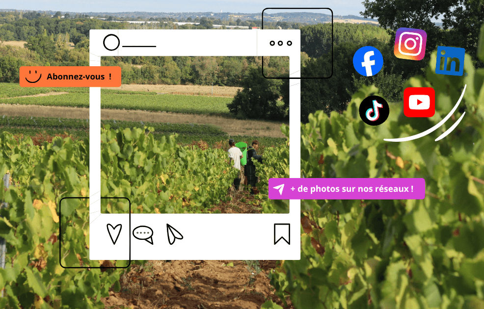 Réseaux sociaux : mode d’emploi pour les vignerons - Muscadet