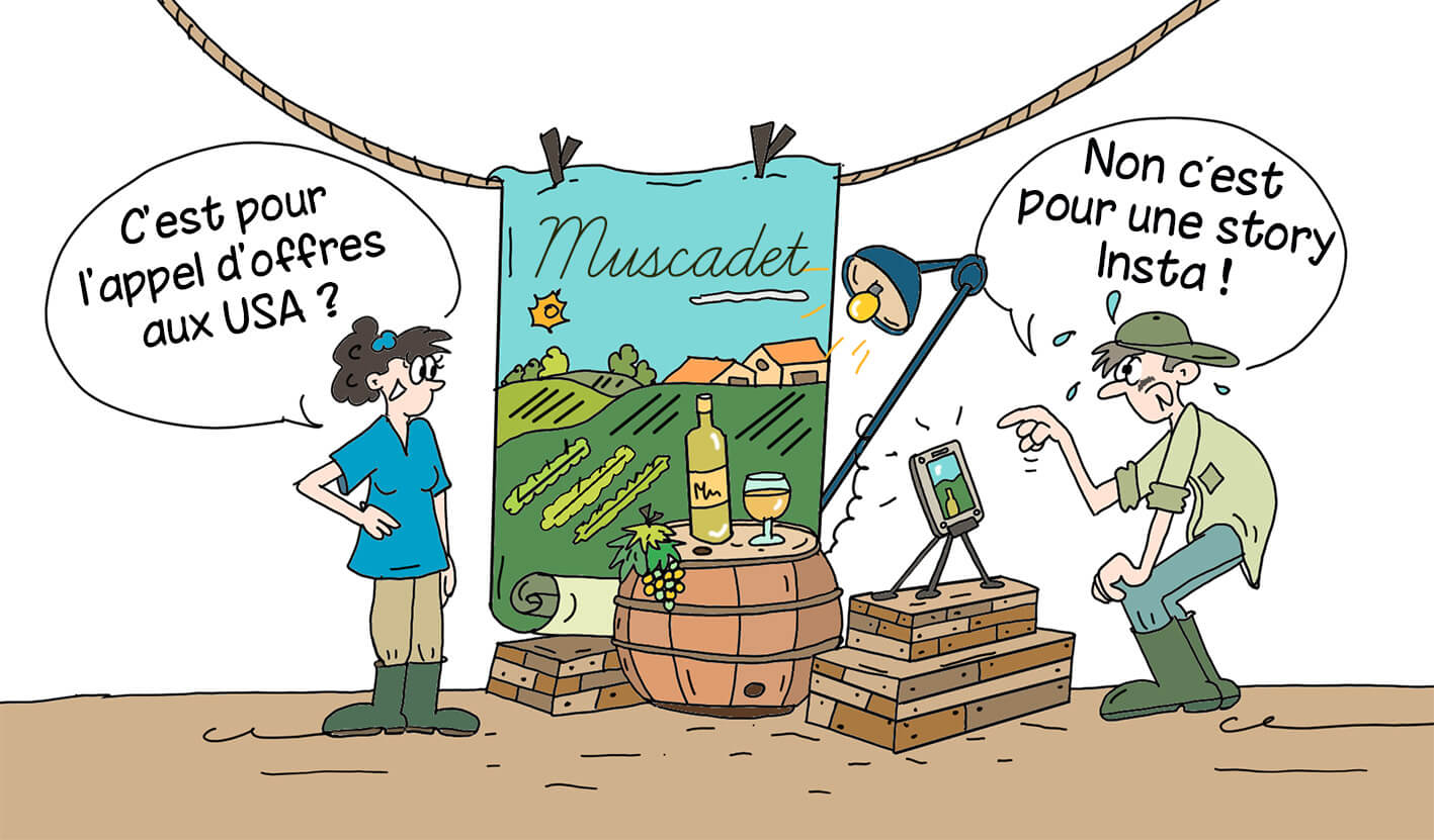 Raisins sociaux - Muscadet