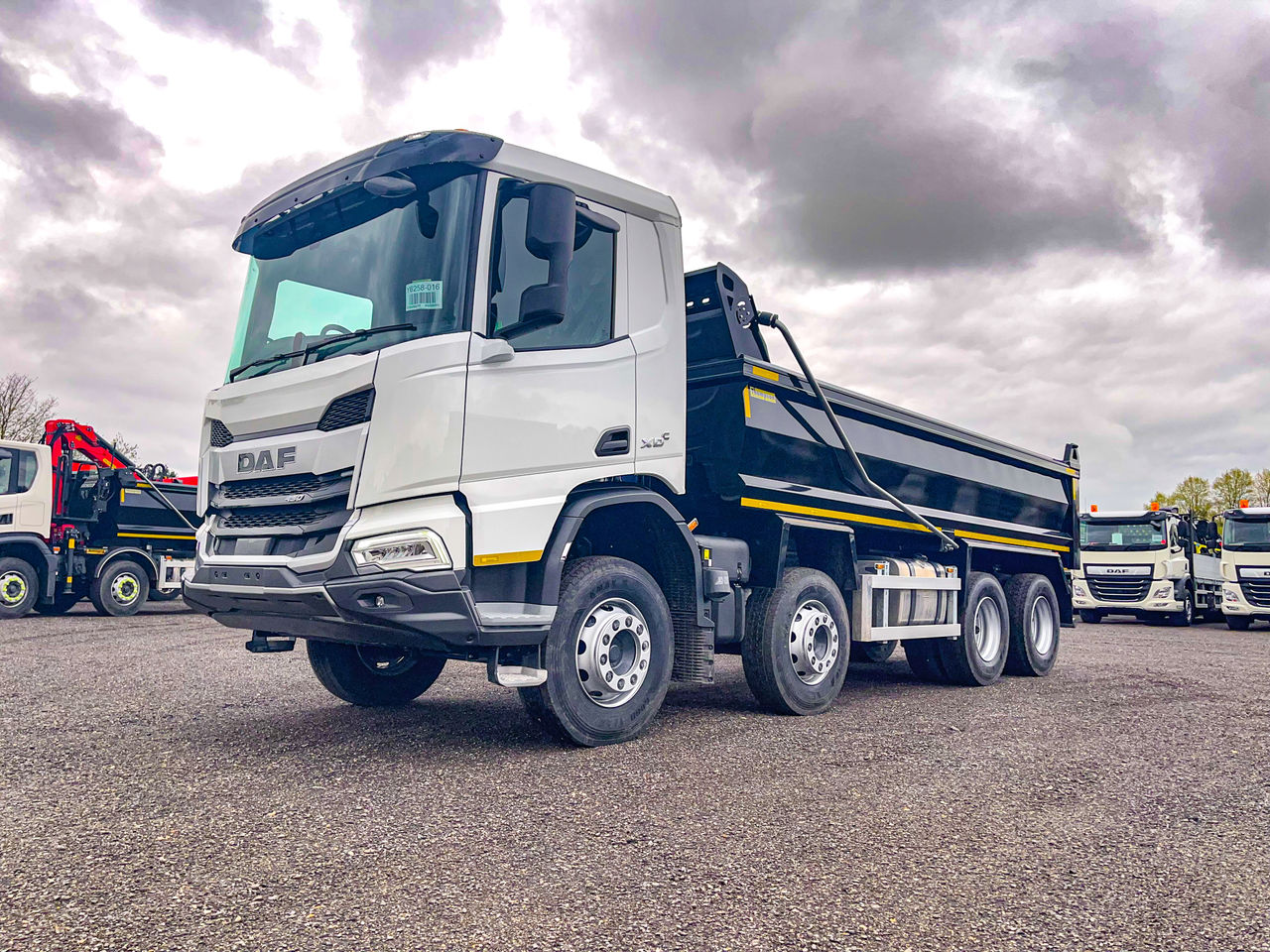 2025 DAF FAN XD450 Tipper for sale at MV Commercial