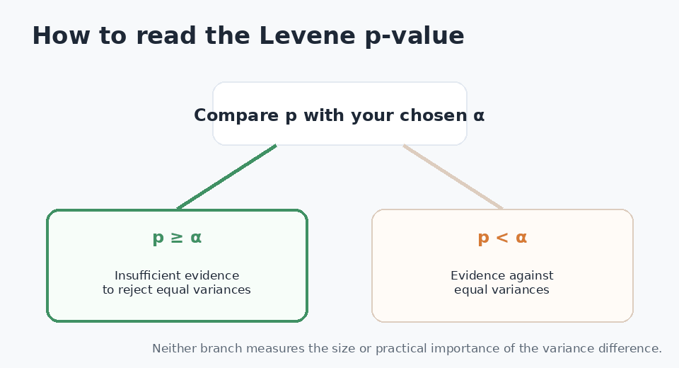 Animated decision diagram for interpreting the Levene p-value against a chosen alpha level.