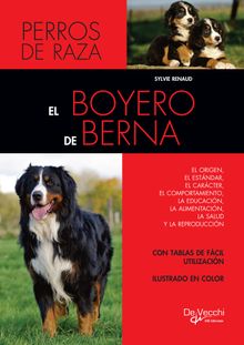 El boyero de Berna