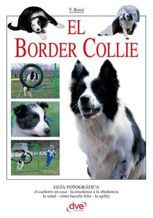 El border collie