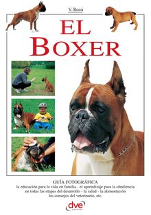 El Boxer