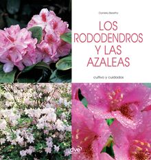 Los rododendros y las azaleas - Cultivo y cuidados