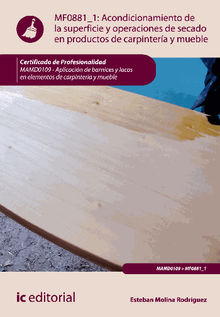 Acondicionamiento de la superficie y operaciones de secado en productos de carpintera y mueble. MAMD0109 