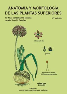 Anatoma y morfologa de las plantas superiores