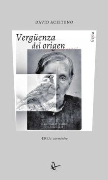 Vergenza del origen