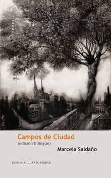 Campos de ciudad