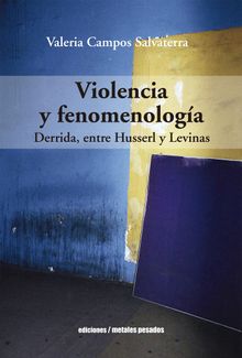 Violencia y fenomenologa