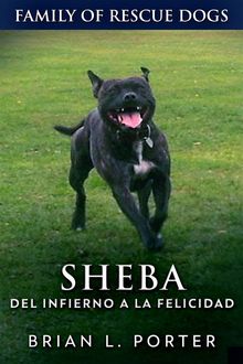 Sheba: Del Infierno A La Felicidad