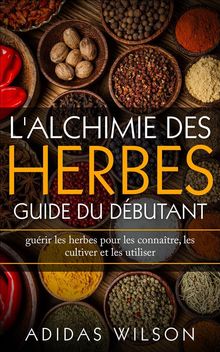 L'alchimie Des Herbes: Guide Du Dbutant