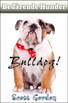 Bedrende Hunder: Bulldog