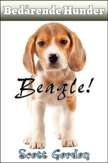 Bedrende Hunder: Beagle