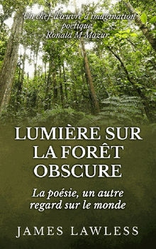 Lumire Sur La Fort Obscure