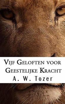 Vijf Geloften Voor Geestelijke Kracht