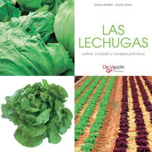 Las lechugas - cultivo, cuidado y condejos prcticos