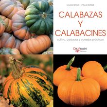 Calabazas y calabacines - cultivo, cuidados y condejos prcticos