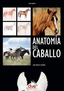 Anatoma del caballo: Gua prctica ilustrada