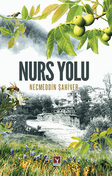 Nurs Yolu