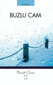 Buzlu Cam