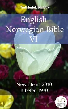 English Norwegian Bible VI