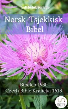 Norsk-Tsjekkisk Bibel