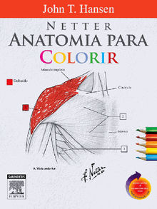 Netter Anatomia para Colorir