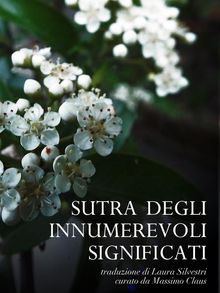 Sutra degli Innumerevoli Significati