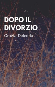 Dopo il divorzio