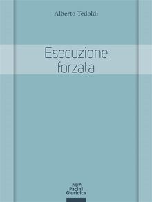 Esecuzione forzata