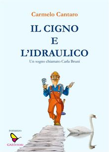 Il cigno e l'idraulico