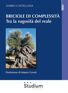 Briciole di complessit