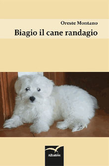 Biagio il cane randagio