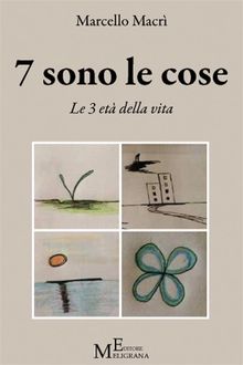 7 sono le cose