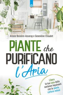 Piante che purificano l'aria