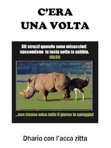 Cera una volta