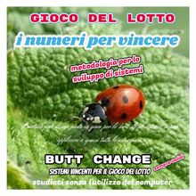 Gioco del lotto: i numeri per vincere