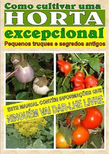 Como cultivar uma horta excepcional