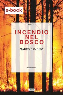 Incendio nel bosco