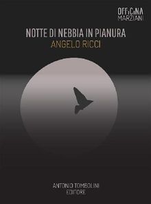 Notte Di Nebbia In Pianura