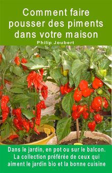 Comment faire pousser des piments dans votre maison. Dans le jardin, en pot ou sur le balcon