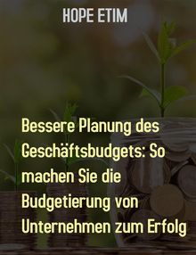 Bessere Planung des Geschftsbudgets: So Machen Sie die Budgetierung von Unternehmen zum Erfolg