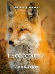 La coccinella