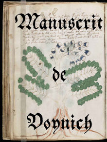 Manuscrit de Voynich